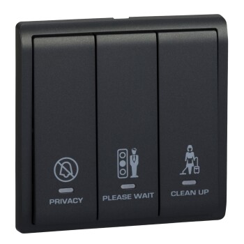 16AX 3G SW w Ne w 'Privacy', 'Pls Clean Up' & 'Pls Wait ' Sym, Matt Black - Schneider Electric