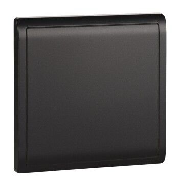 1Gang Blank Plate,Matt Black - Schneider Electric