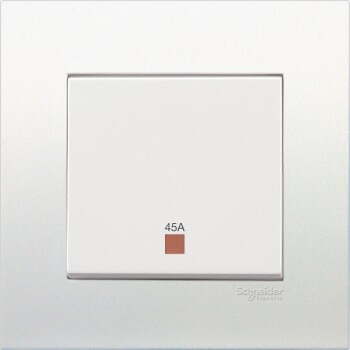 45A 250V Double Pole Switch with Neon - Schneider Electric