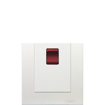 45A 250V Twin Gang Vertical Double Pole Switch with Neon - Schneider Electric