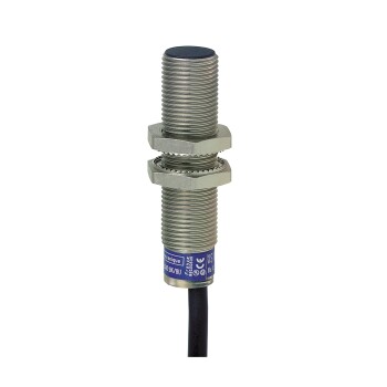Inductive proximity sensors XS, inductive sensor XS6 M12, L54mm, brass, Sn4mm, 12...48 VDC, cable 2 m - Schneider Electric