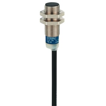Inductive proximity sensors XS, inductive sensor XS6 M12, L54mm, brass, Sn4mm, 24...240VAC/DC, cable 2 m - Schneider Electric