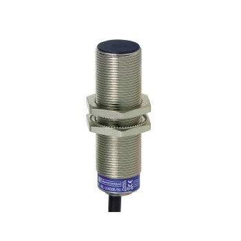 Inductive proximity sensors XS, inductive sensor XS6 M18, L62mm, brass, Sn8mm, 12...48 VDC, cable 2 m - Schneider Electric