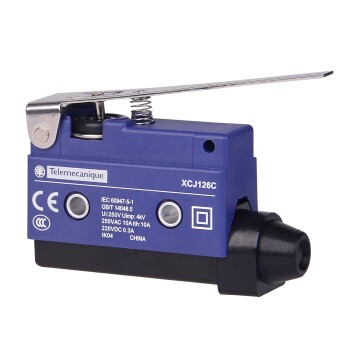 Long flat lever plunger - Schneider Electric