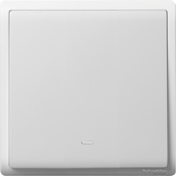 Pieno - 16A 250V - 1 gang 2 way switch with fluorescent locator - Schneider Electric