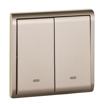 Pieno - 16A 250V - 2 gang 1 way switch with fluorescent locator (WG) - Schneider Electric